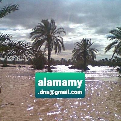 Dr.Ibrahem.M.Alamamy♦BP19855♦♦